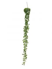 Kunstbloem Senecio hanger green 60cm